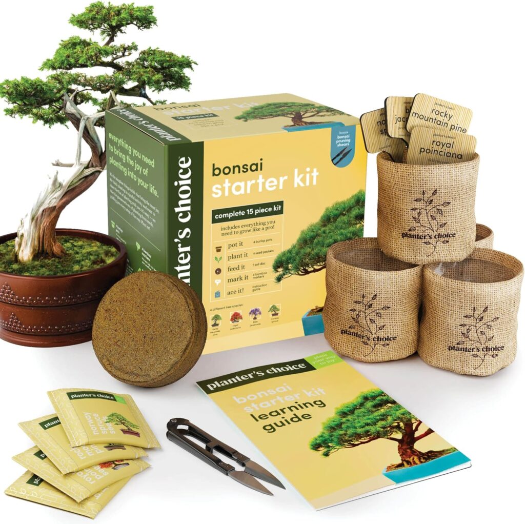 Bonsai Tree Starting Kit